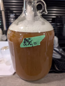 A carboy containing fermenting best bitter beer.